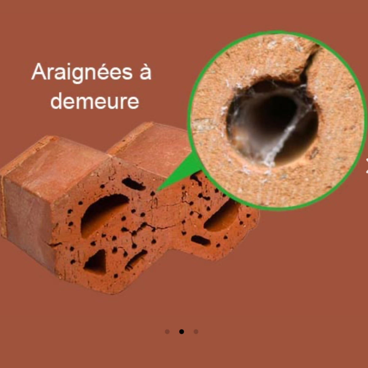 Hôtel à insectes en terre cuite LOGE®