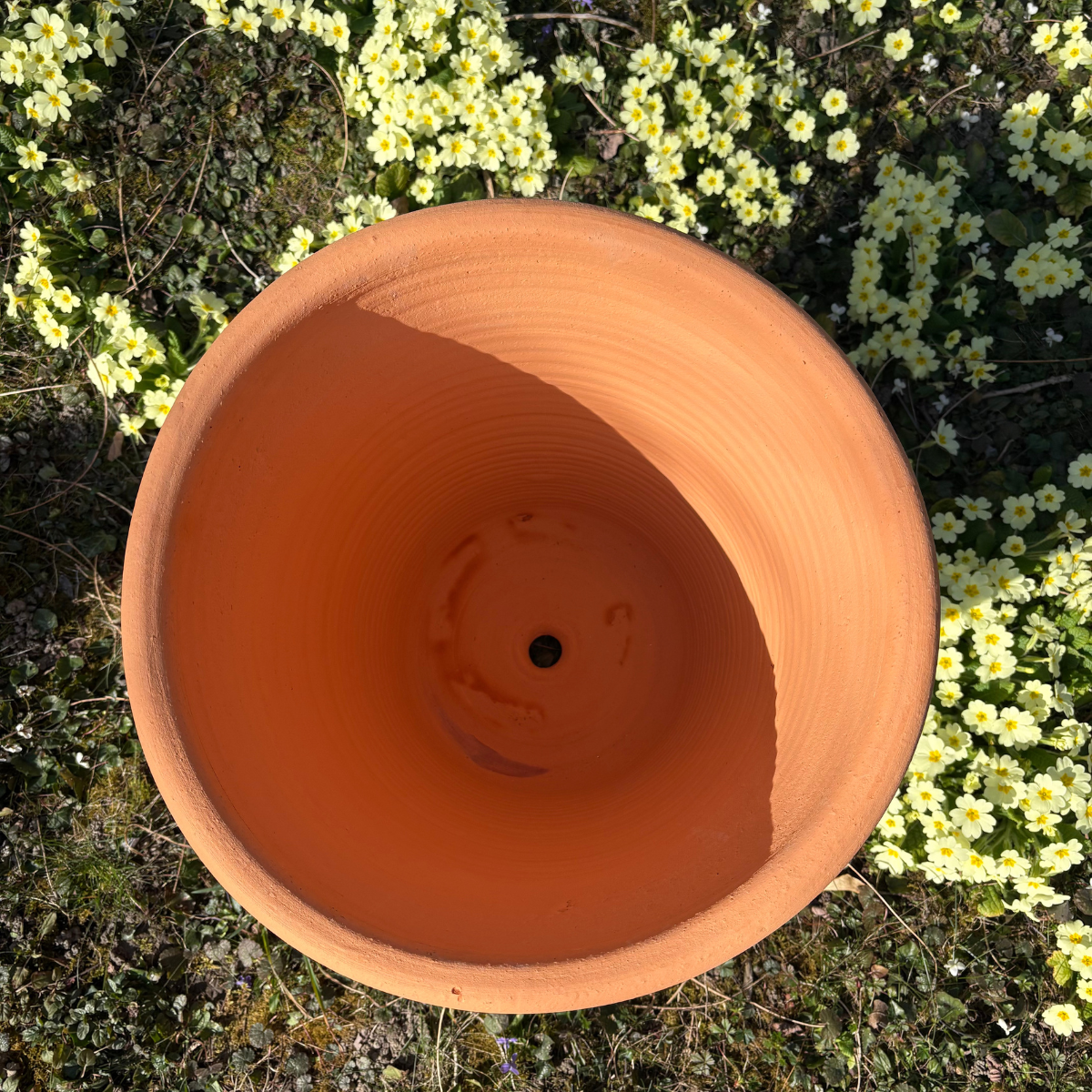 Pot d'ornementation Tilia