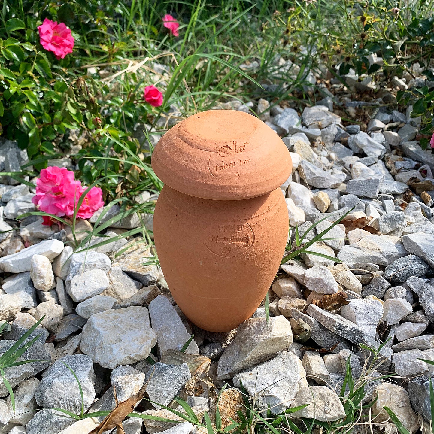 Ollas ORIGIN d'irrigation - 0,5 L