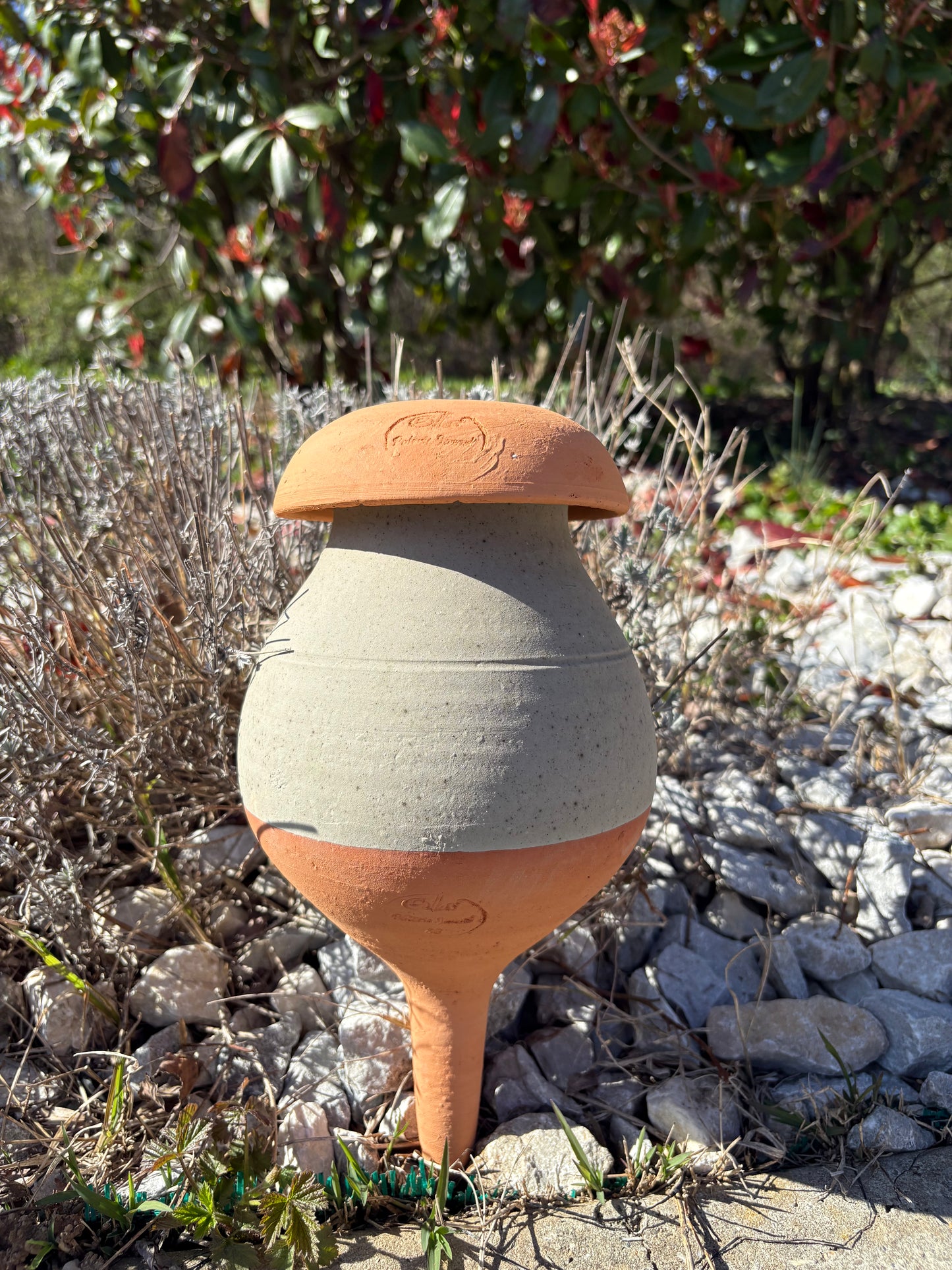 Ollas à planter 1,5 L - Vert mat