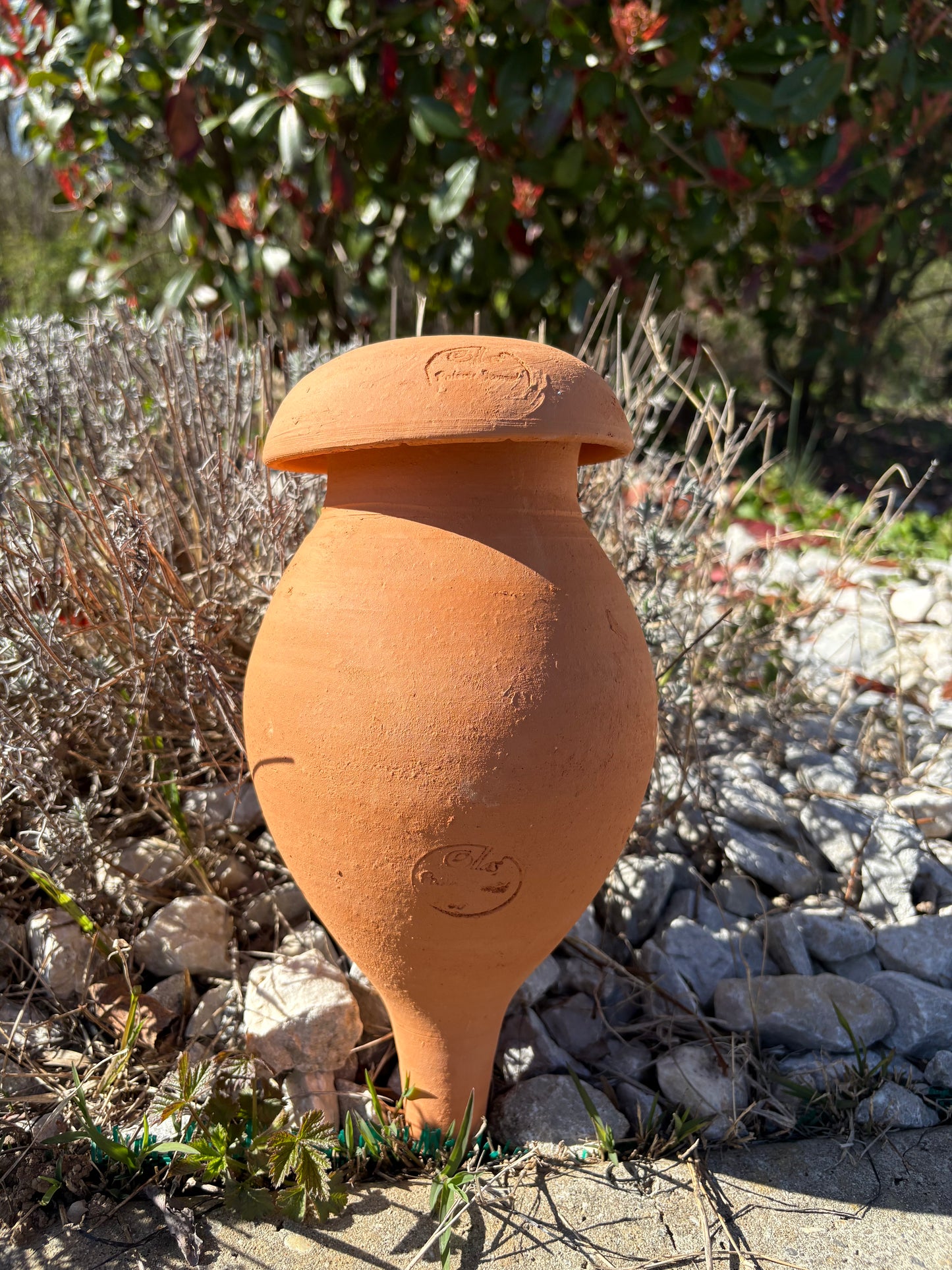 Ollas à planter 1,5 L - Terre brute