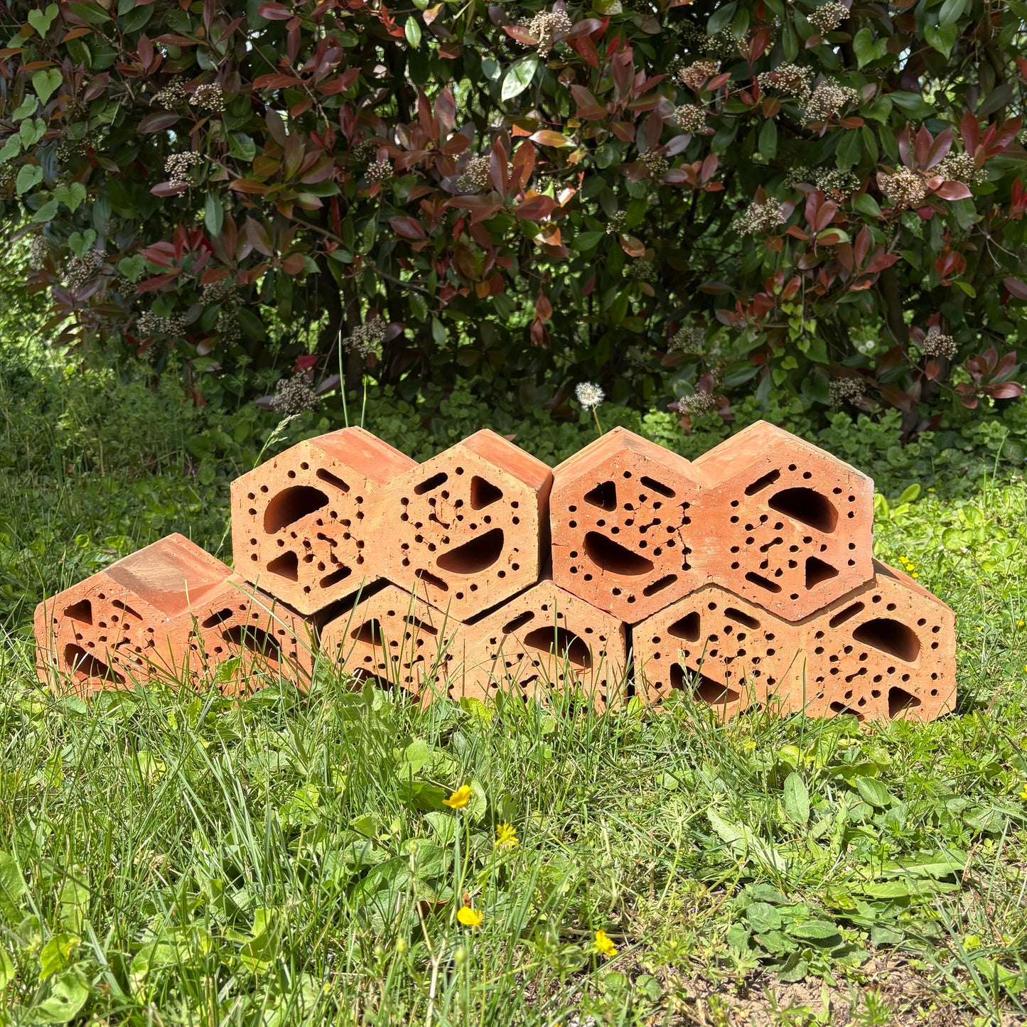 Hôtel à insectes en terre cuite LOGE®