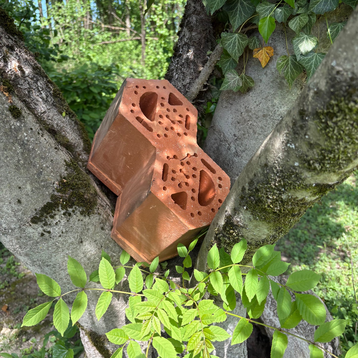 Hôtel à insectes en terre cuite LOGE®