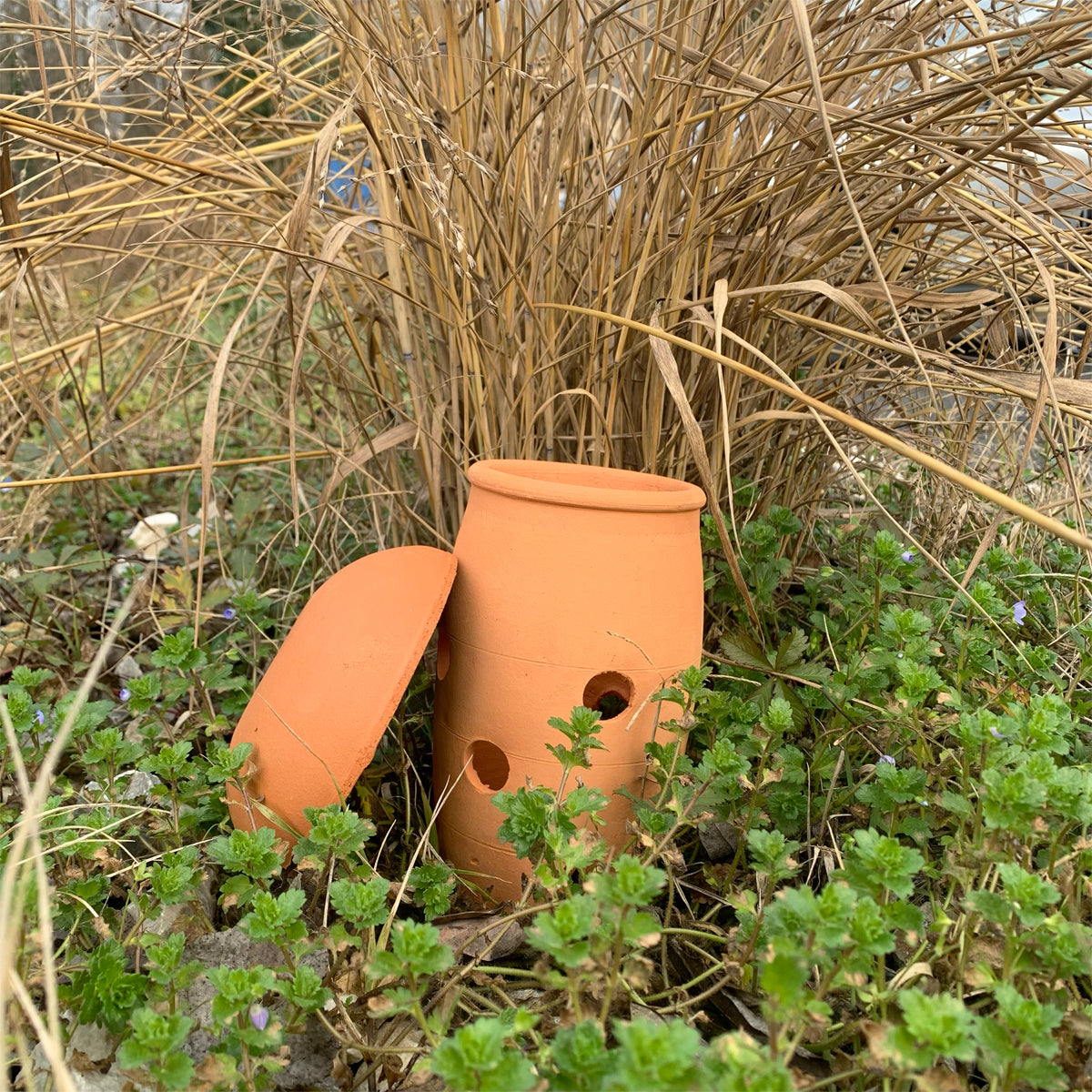 Lombricomposteur à enterrer -   0,8 L